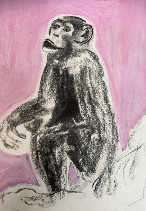 Sylvia Gatz "Affe Lord" Mixed Media, Acryl und Kohle auf Papier. 25 x 35 cm, 2024