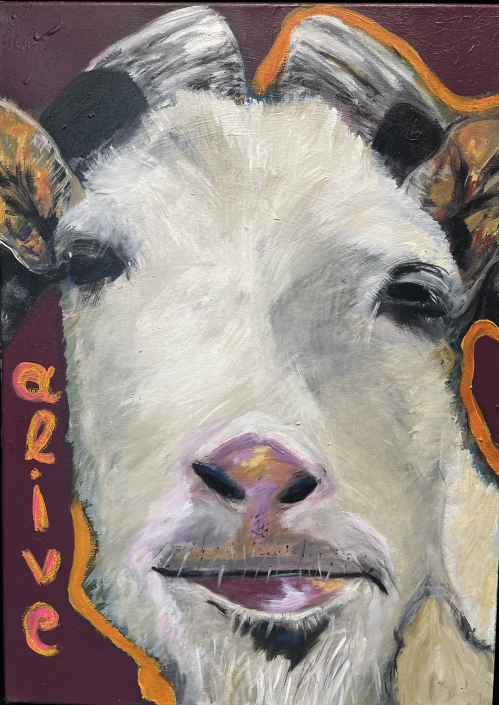 Sylvia Gatz "Goat alive" Acryl auf Leinwand. 50 x 70 cm, 2023